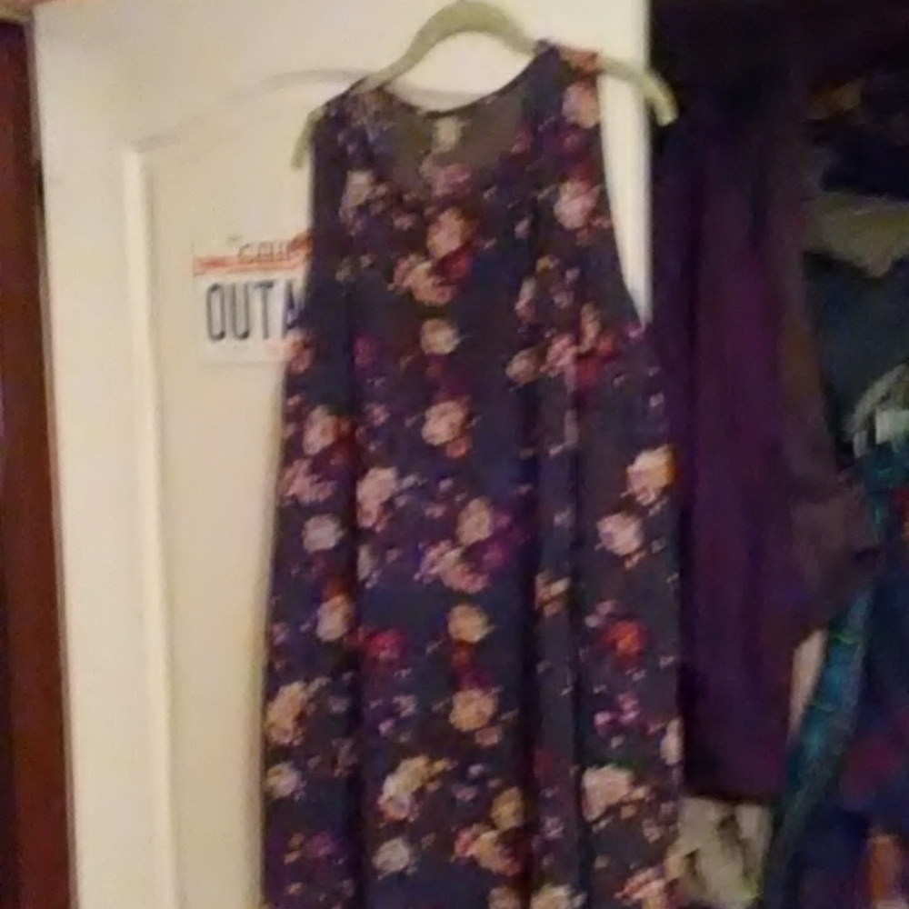 Long sleevelss tunic or dress